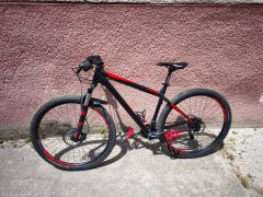Focus Black Forest