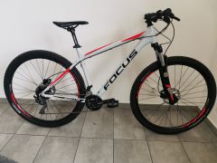 Focus Whistler Pro 29 2017