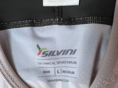 Silvini