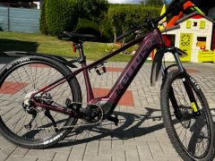 Kellys Tayen R 10 S Pink