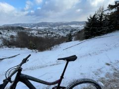Giant Reign SX 2020