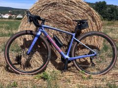 Specialized Diverge Sport 2024