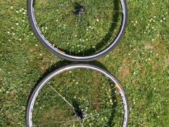 Mavic aksium