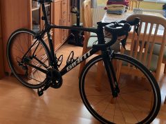 Giant TCR avanced 2020