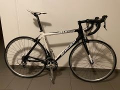 Schwinn Peloton - karbonové silniční kolo, vel. L