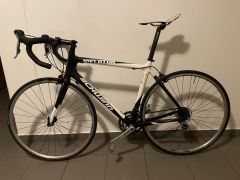 Schwinn Peloton - karbonové silniční kolo, vel. L