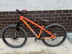 Specialized P2 dirt jumper