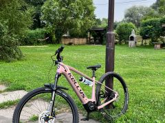 TOP Stav Dámsky horský e-bike Kellys Tayen R50 Rosé Gold 2025