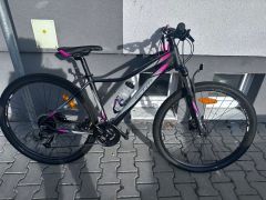 Charizma 3.0 dámsky bicykel