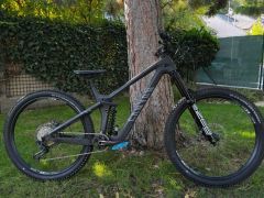 Canyon Strive CFR