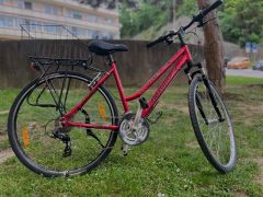 Mestsky bicykel author