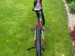 Damsky Elektrobicykel CTM Ruby 29&quot;