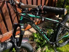 Kellys Gibon 70