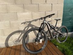 Stumpjumper evo alloy s2 mulllet