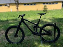 Trek Remedy 9.8