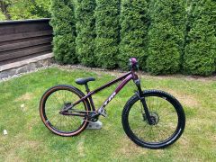 CTM Dirtking Xpert 2022