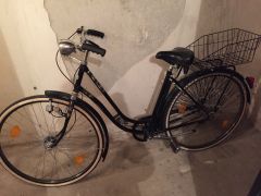 Steyr Waffenrad Vintage Citybike