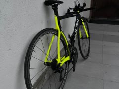 Dolan Scala TT