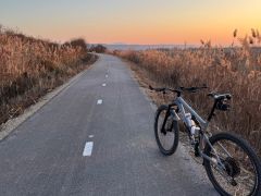 Specialized Epic Evo