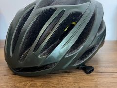 Specialized Echelon II - Oak Green Metallic/Black Reflective