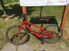 Giant ARX 24&quot;