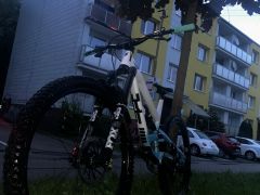 Yt capra custom