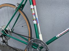 Favorit Special (1981)