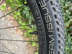 Trek Procaliber 9,8