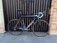 Bergamont Dolce LTD 59