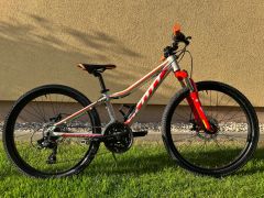 Scott Scale 24