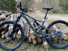 Specialized Stumpjumper Comp Alloy Gloss Sage Green/Forest Green 2021