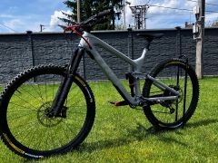 Trek slash 9.7 2019 Carbon
