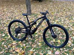 Specialized Stumpjumper EVO S4 (L)