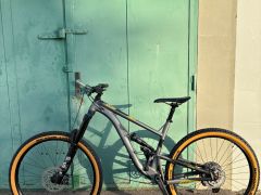 Kellys thorx 50
