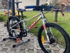 Predam Amulet Youngster 20&quot;