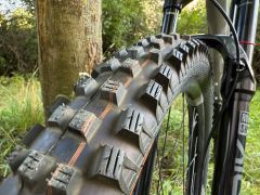 Kellys Thorx 50 M, 29