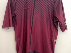 Aero dres Bioracer Epic Karbon King Bordeaux