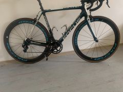 Focus Izalco Teams SL