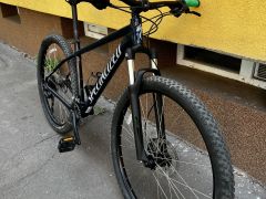 Specilazed rockhopper 29
