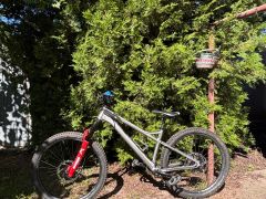 Banshee Enigma vel. M