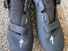 Specialized torch 2.0