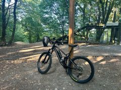Canyon Spectral AL 7