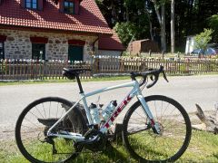 Trek Domane AL 3