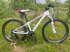 Cube Acid 240