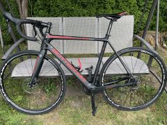 Bottecchia RD Domina