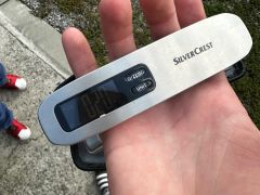 SQ Lab 612 carbon