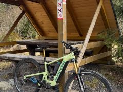 Santa Cruz heckler C 9 2023