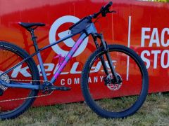 Kellys Mystery 50 M 29&quot;