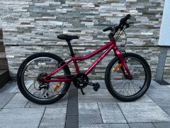 Amulet 20 Tomcat dark pink