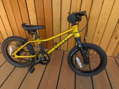 Rascal 14 gold